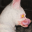 cero-ismael-album.pages.dev favicon
